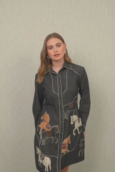 Amber Shirt Dress